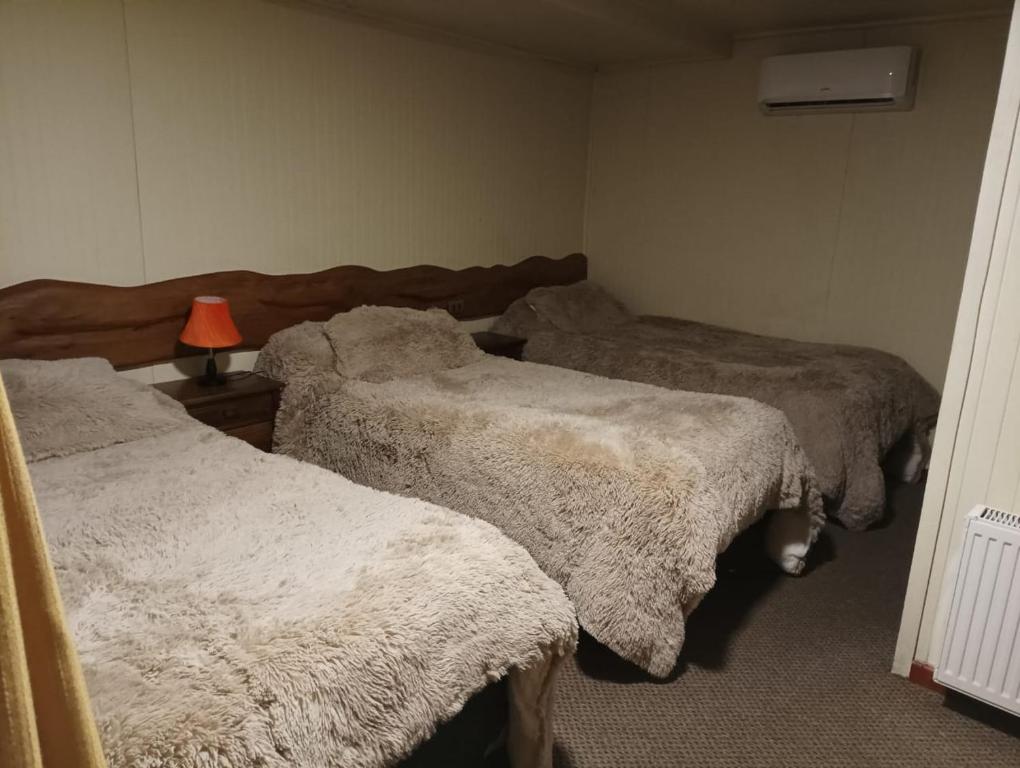 hostal los cisnes